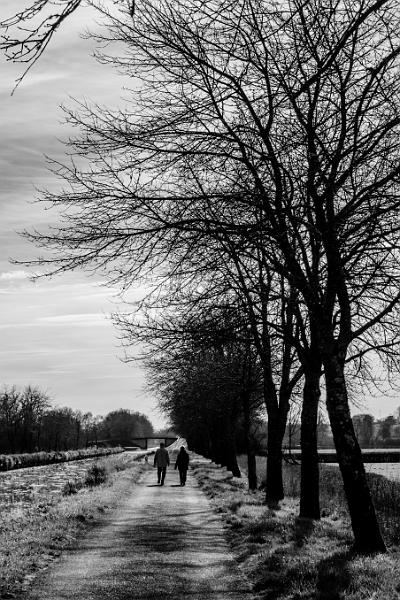 2020_02_07_canal du Nivernais (0006).jpg - Canal du Nivernais, entre Vandenesse et Panneçot (Février 2020)